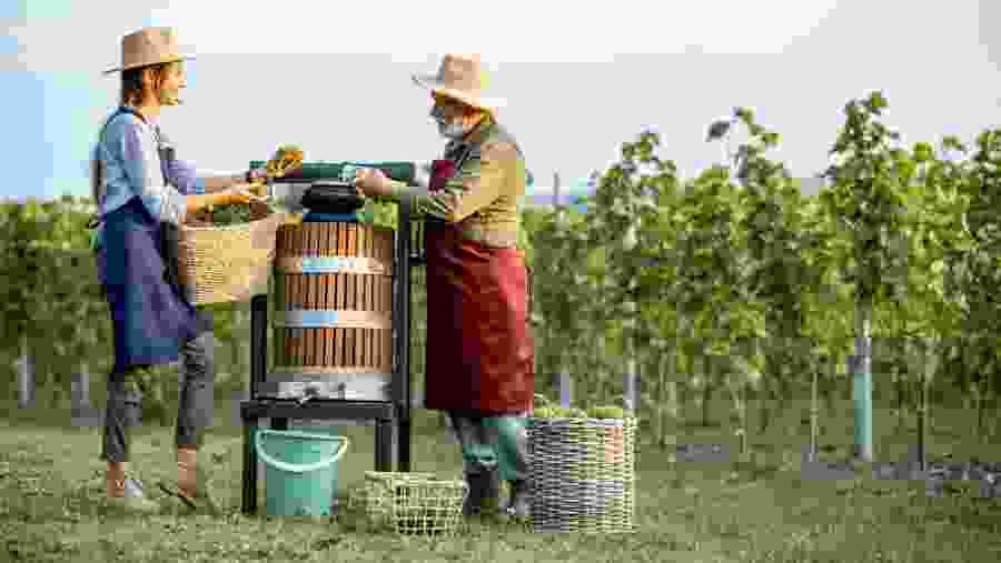 Florence to Chianti Wine Tasting Tour