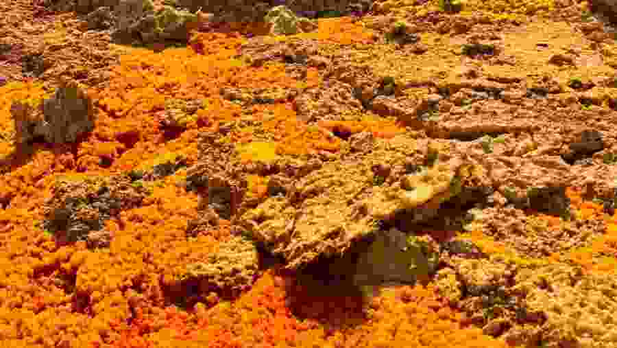 Danakil Depression