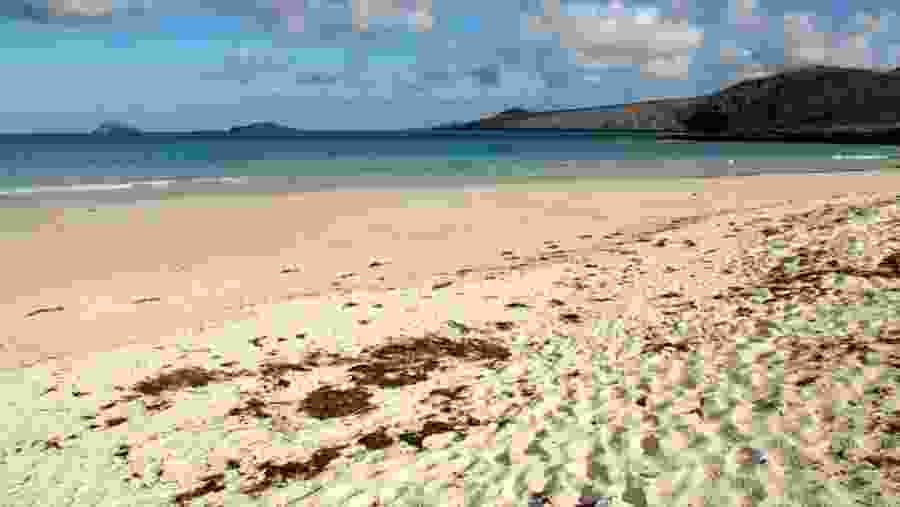 Floreana Island