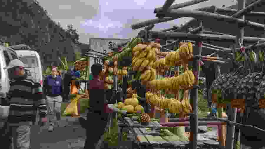 local fruit nature