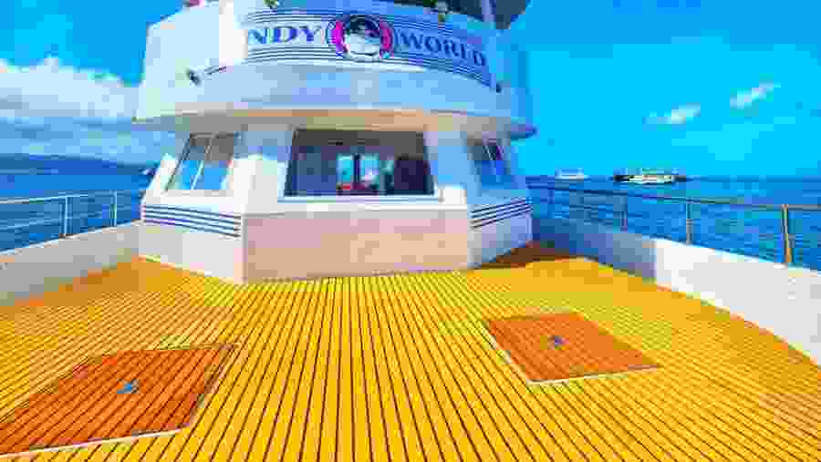 Party Yacht