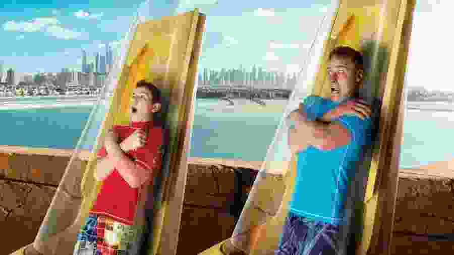 Sea lion point experience