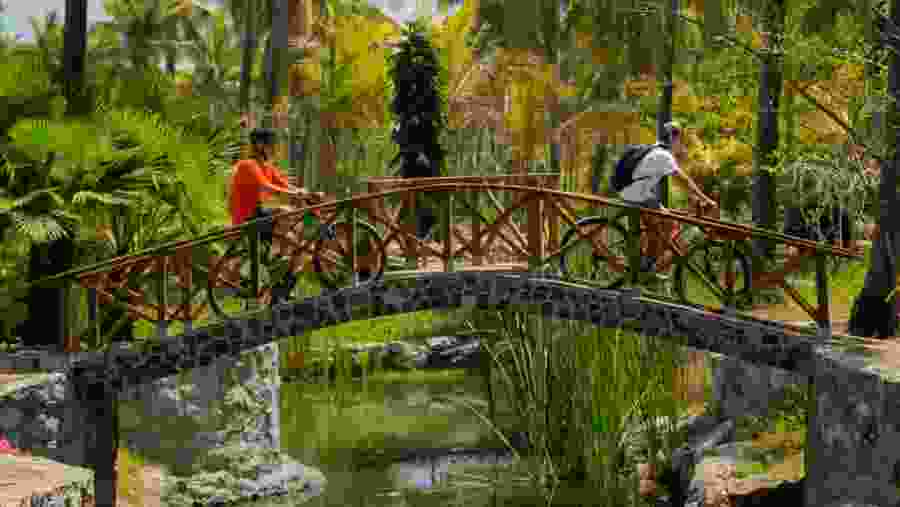 Tropical Bike Adventure