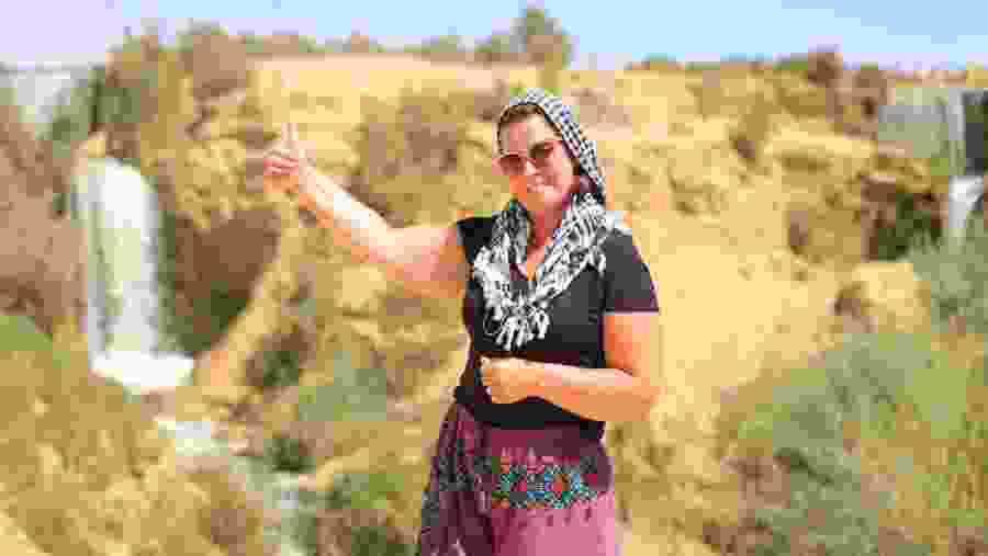 Travelers in the desert