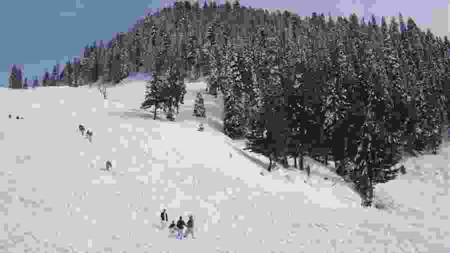 MALAM JABBA WINTER FESTIVAL