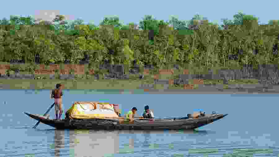 Sundarbans