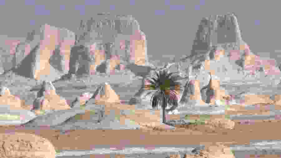 White Desert