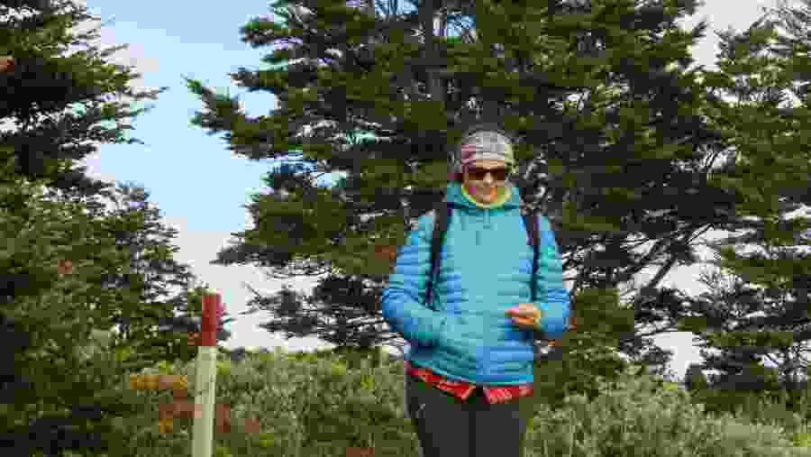 Travellers in Patagonian Forest