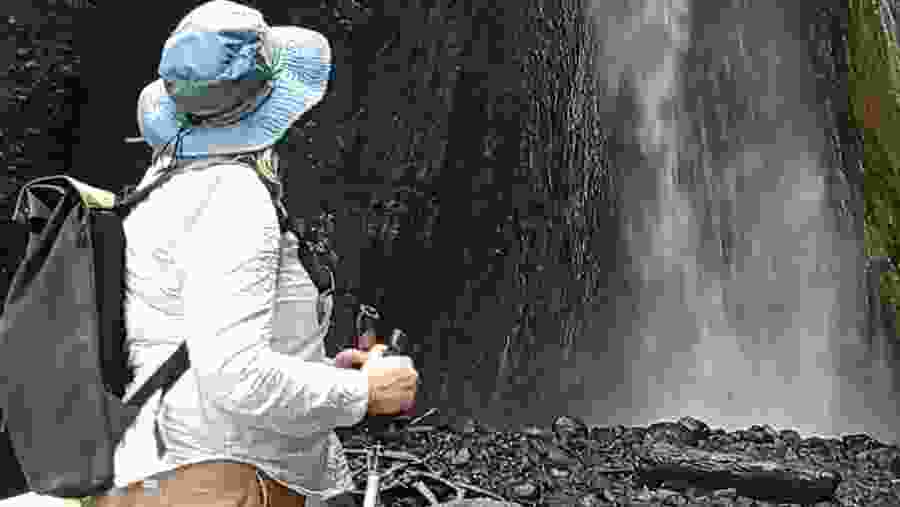 Kilimanjaro Day Trip