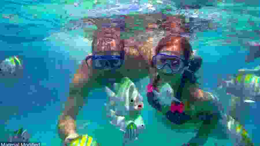 Travellers in Belize