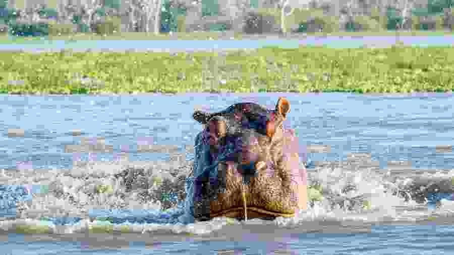 Nyerere National Park