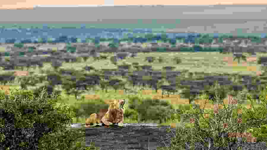 Serengeti National Park
