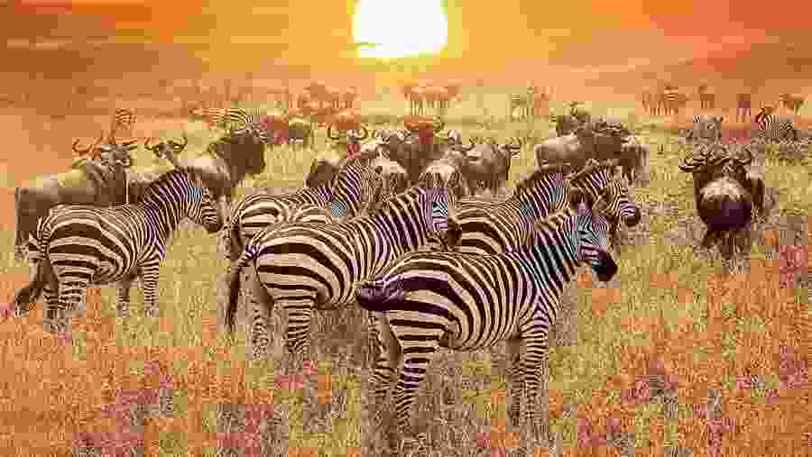 Serengeti National Park