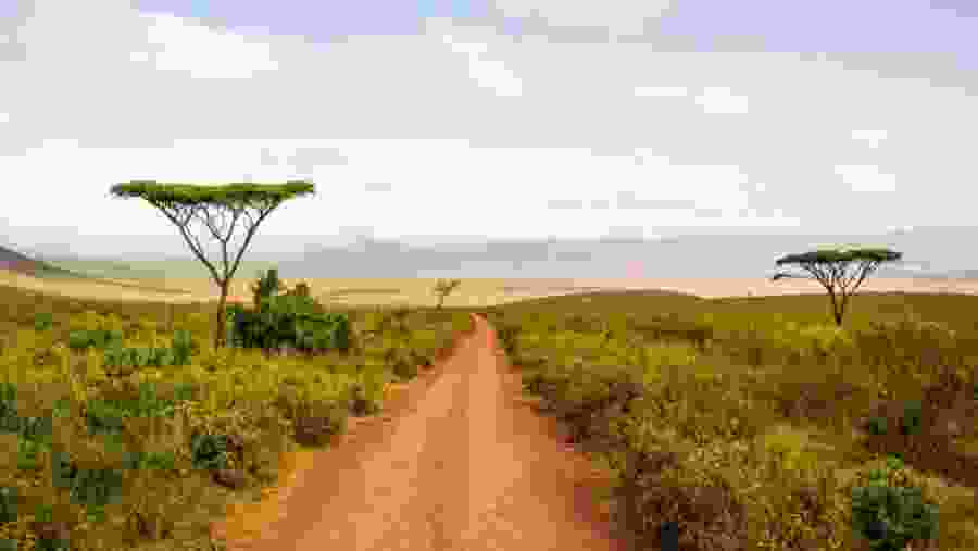 Serengeti National Park