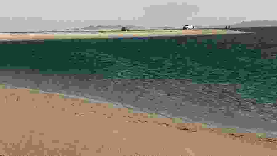Sealine Beach