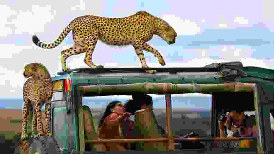 Masai Mara National Reserve