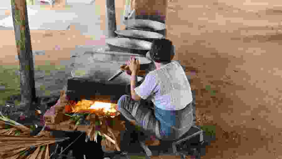 See Toddy Palm farmer