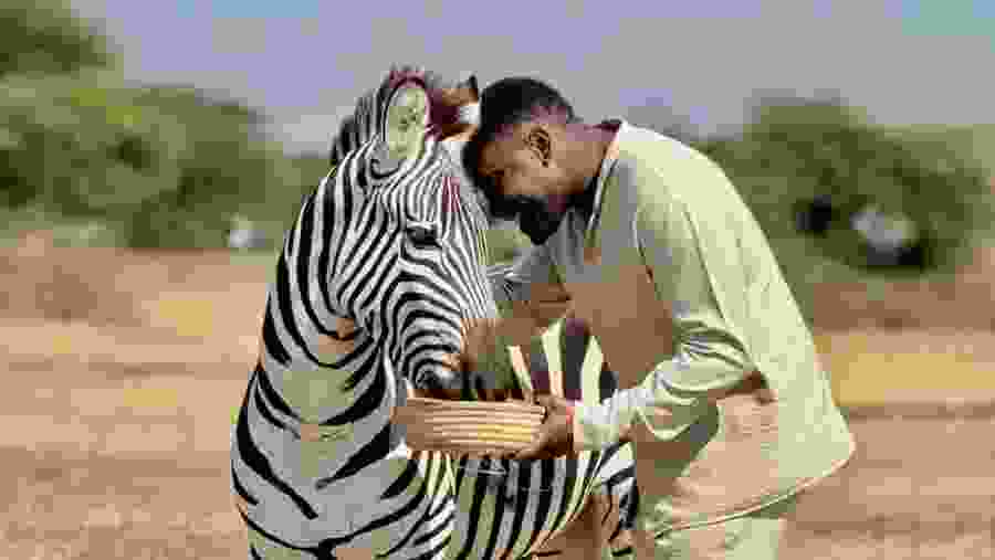 Witness the African wildlife