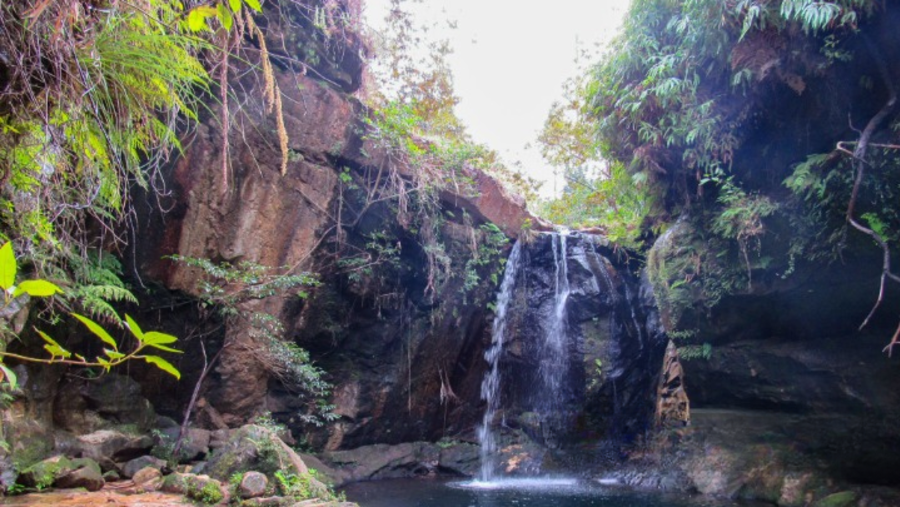 Witness the Natural wonders in Madagascar