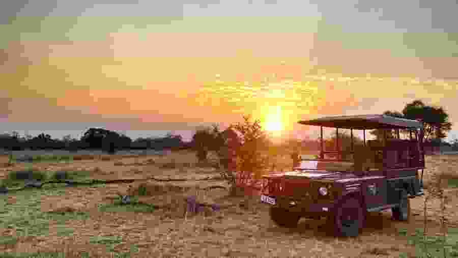 South Luangwa National Park Adventure