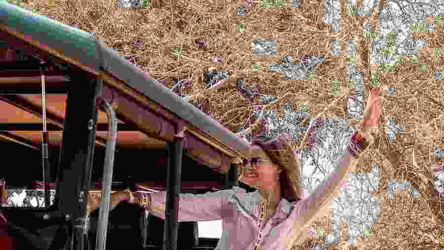 Go for a Safari in Yala