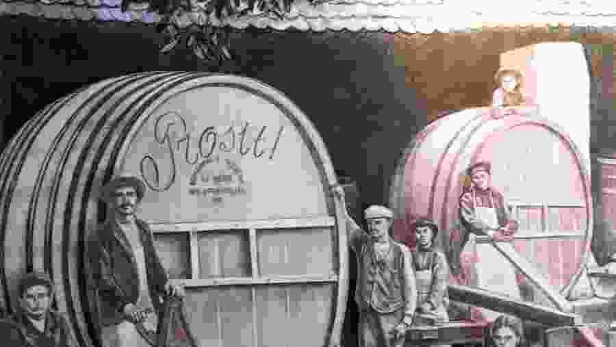 Wine tour