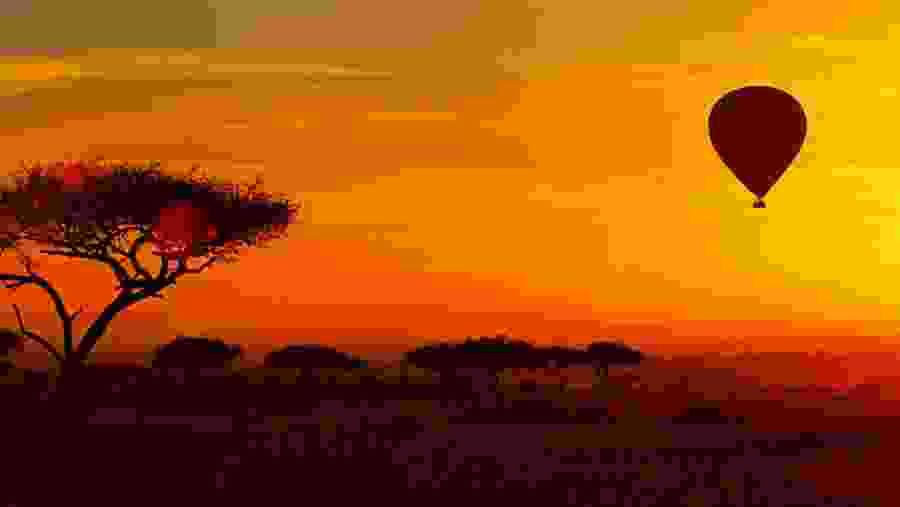 Hot Air Balloon Ride in Queen Elizabeth National Park