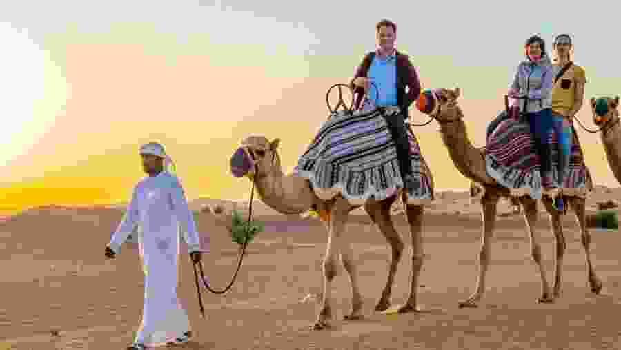 Camel Safari