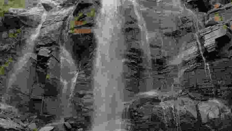4-Day Trekking Adventure in Magamba Rainforest and Usambara Mountains