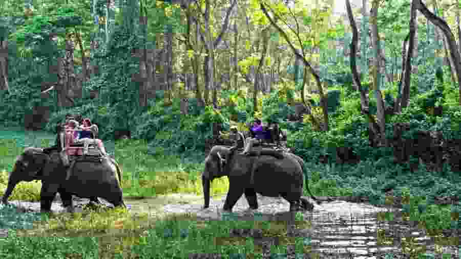 Elephant Ride in Chitwan National Park