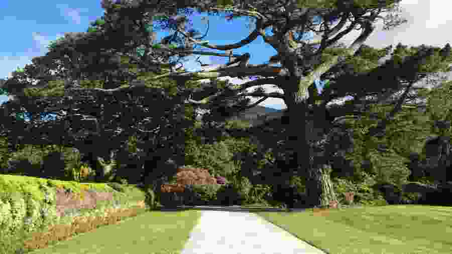 Killarney National Park