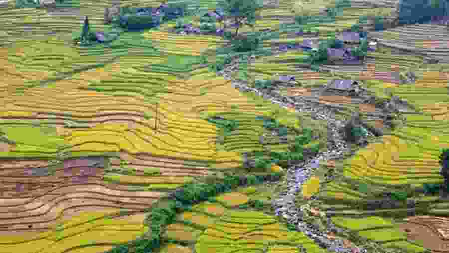 Terraced landscape in Lao Chi, Sapa