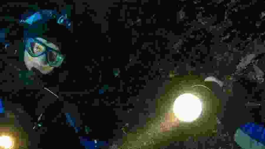 Night Diving In Negombo