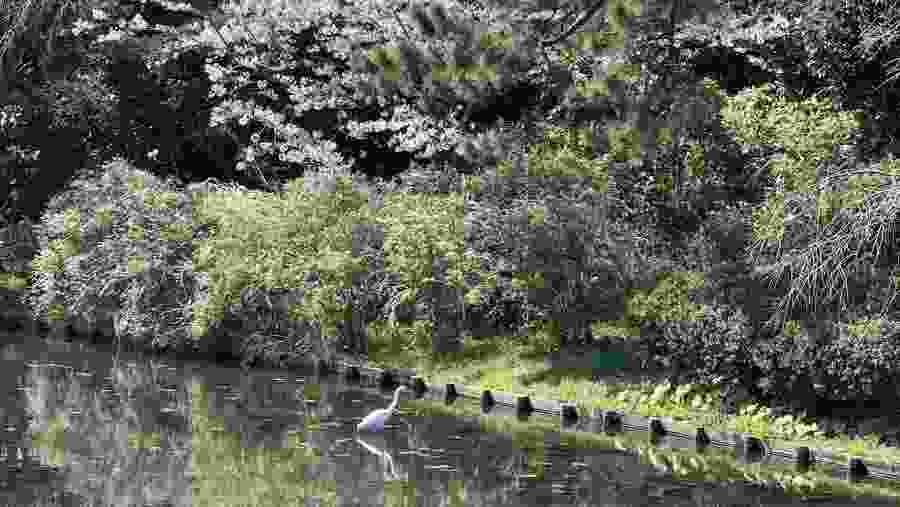 Minatono Mieru Oka Koen