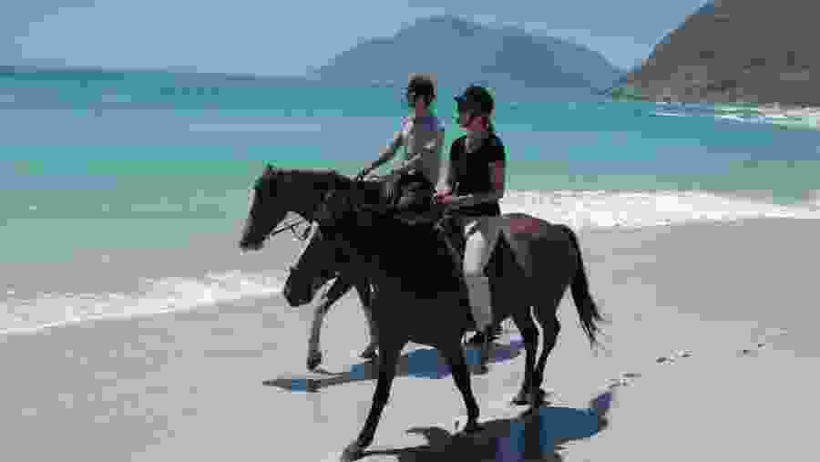 horse riding on the beach