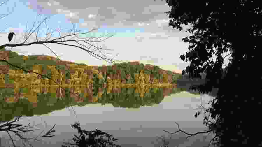 Radnor Lake