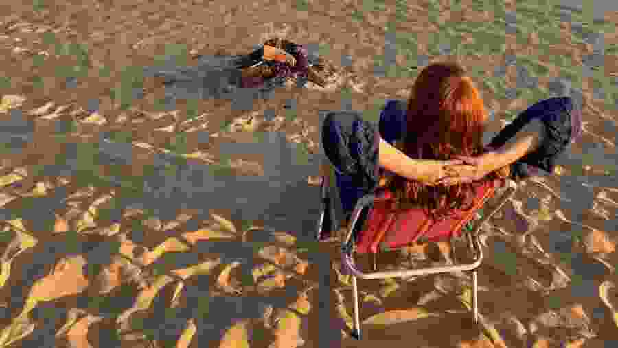 Marvel at the Bahariya Oasis, Egypt