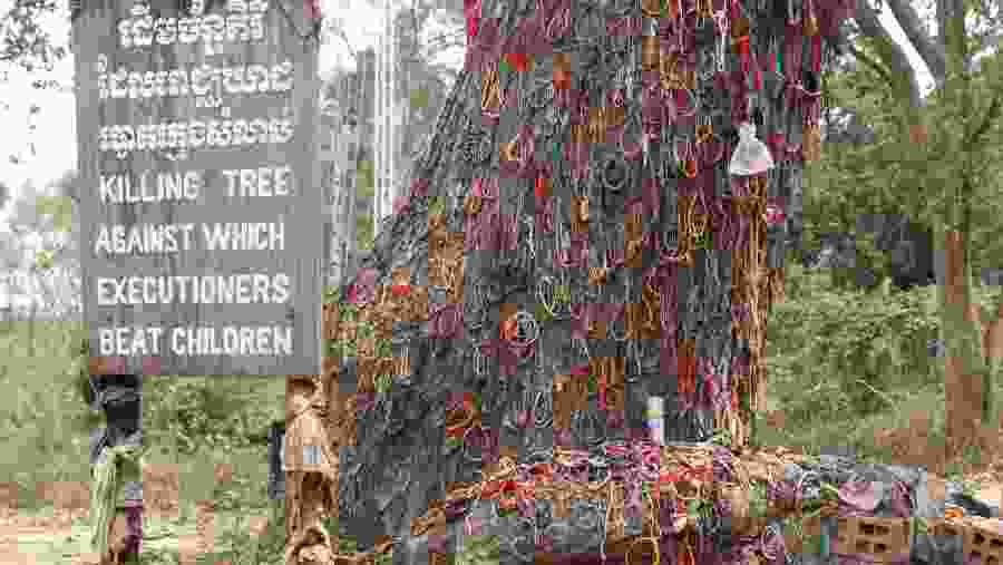 Cambodian killing tree