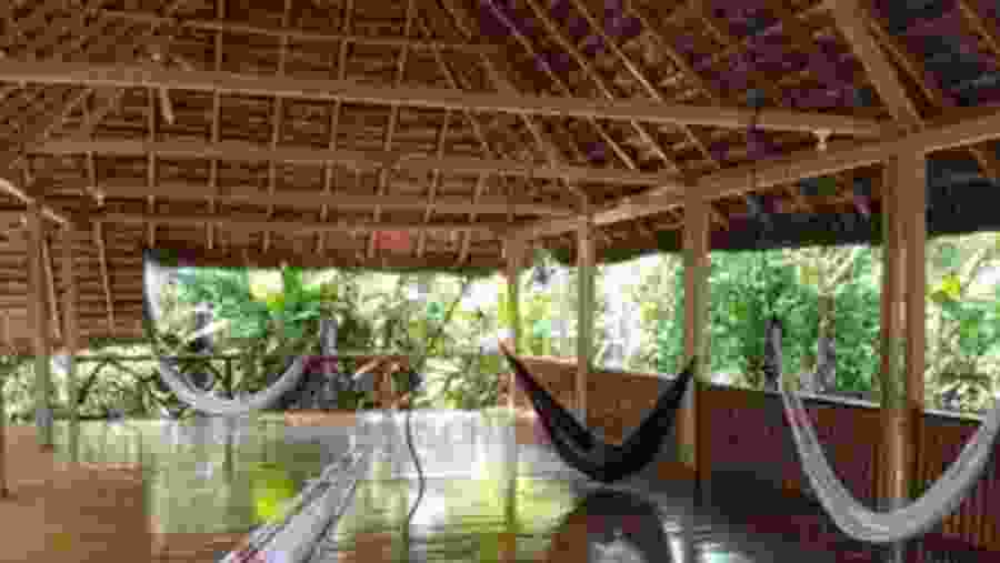 Amazon Wildlife Tour