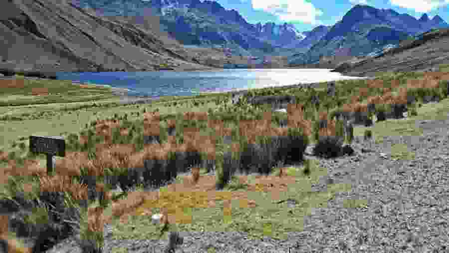 Querococha lake