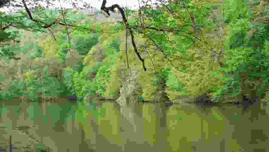 Parz lake