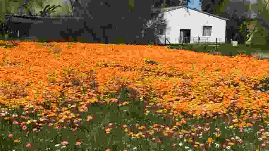 West Coast National Park