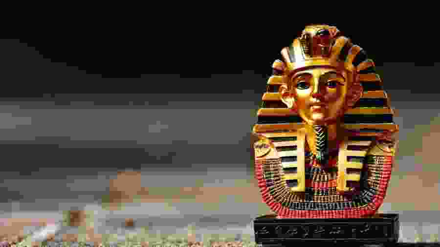 Visit  El Minya From Cairo