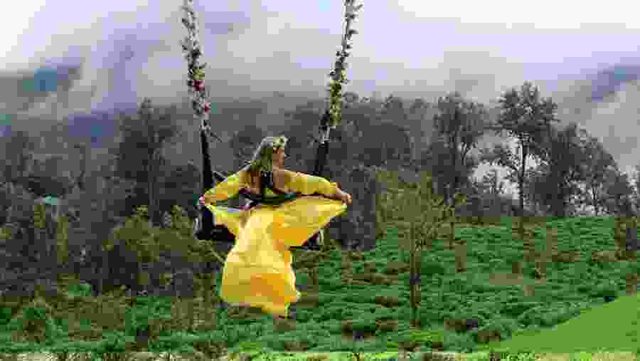 Giant Swing Experience