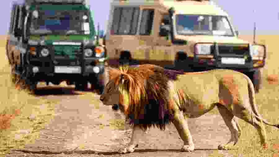 Amboseli National Park