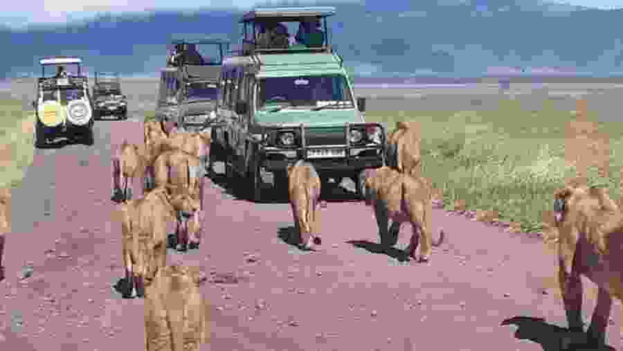 Serengeti National Park