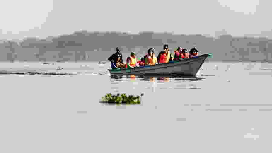 Boat ride on Lake Naivasha