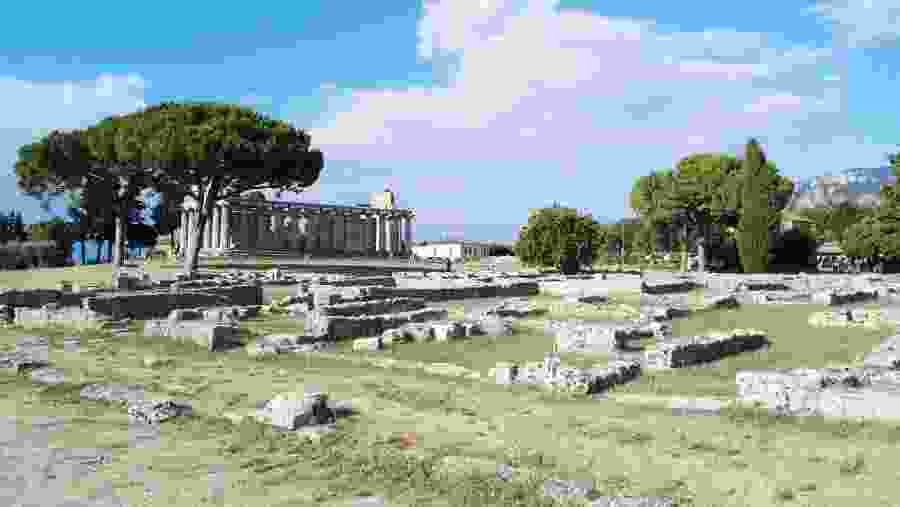 Paestum Ruins