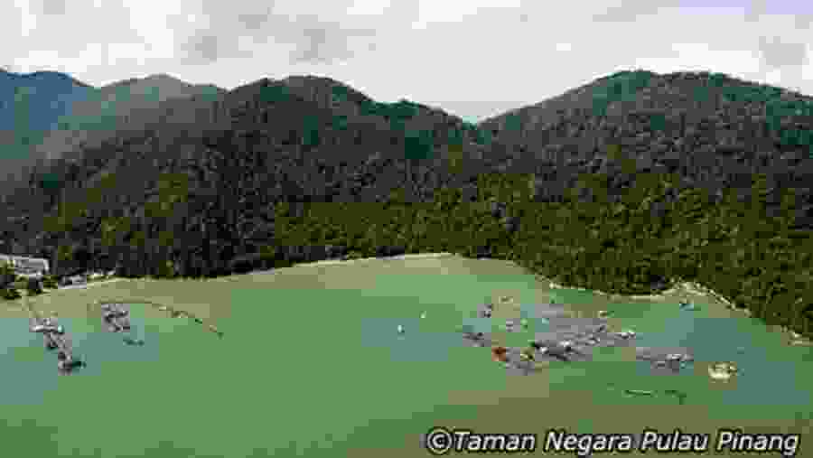 Penang National Park