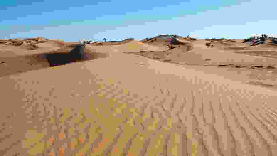 Sahara Desert